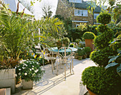 Blick auf den kleinen Garten mit italienischem Hartkalksteinboden, blauem Tisch, weißen Stühlen und Terrakottatöpfen mit Buchsbaumkugeln