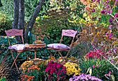 Orange seating area in an autumn bed with Chrysanthemum