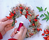 Rosehip clematis wreath (1/2)