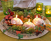 Schneckenhaus-Kerzen auf Metallteller mit Moos