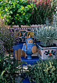 Herbs on balcony