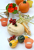 Still life with cucurbita (pumpkin and ornamental gourd)