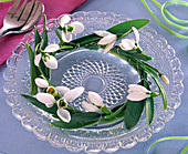 Snowdrop wreath