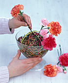 Carnations with willow ball as plugging aid (4/5)