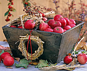 Malus in wooden bowl, triticum wreath and bouquets
