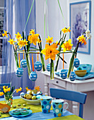 Hängende Tischdeko mit verschiedenen Narcissus (Narzissen) in Reagenzgläsern