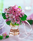 Strauß aus rosa Viola odorata 'Apricot' (Duftveilchen) in Glasvase