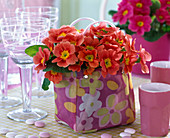 Orange Primula acaulis (spring primrose) in bag with floral motifs