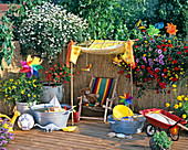 Balcony for children: Daisies stalks