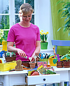 Frau sät Gemüse in Aussaatschale aus, Holzkasten, Stempel, Töpfe mit Samen