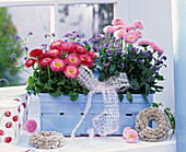 Blue Spank basket with Bellis, Myosotis