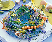 Osterkranz mit Muscari (Traubenhyazinthen), Allium cepa (Zwiebeln), Federn