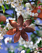 Kupferanhänger in Blumenform an Zweig von Malus (Apfel)