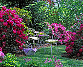 White metal trim between rhododendron