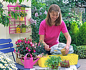 Gelben Kasten mit Fuchsien bepflanzen: 2/5