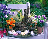 Easter basket with colorful eggs, Viola wittrockiana, hare