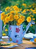 Taraxacum bouquet in light blue watering can with flowers
