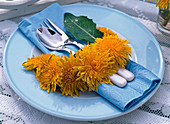 Girlande aus Taraxacum (Löwenzahn)