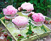 Paeonia blossoms in glass bowls, decorated with Fragaria