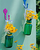 Blüten von Euryops (Gelber Margerite) in grünen Glasflaschen