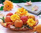 Blüten von Rosa (Rosen, gelb) und Aprikosen auf gelbem Glasteller