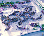 Buchstaben aus Lavandula (Lavendel) auf Lavendelhandtuch gelegt