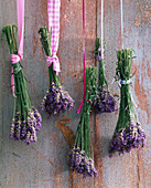 Bouquets of lavandula (lavender)