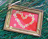 Heart of flowers of Bellis (daisies) on red background