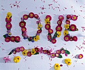 Laying picture 'Love' made from flowers of Bellis (Centaury), Viola
