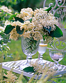 Strauß aus Blüten von Sambucus (Holunder) in Glasvase auf Metalltisch