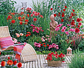 Red-pink-orange dahlia bed on wooden terrace with wicker lounger