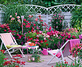 Terrace beds, theme beds