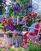 Delphinium, Dahlia 'Duet', Lilium 'Stargazer'