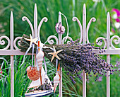 Strauß aus Lavandula (Lavendel) an weißem Zaun, Segelboot, Muscheln