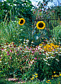 Flower bed with white, red and yellow sun hat