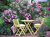 Flowerbed with Syringa reflexa, Syringa meyeri 'Palibin'