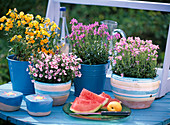 Pot arrangement on blue wooden table, decorative ceramics