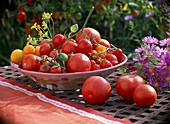 Lycopersicon (tomatoes) different varieties in ceramic bowl
