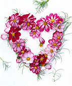 Heart made of flowers and leaves of Cosmos (jewel basket)