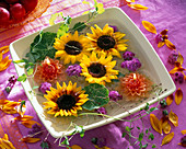Blüten von Helianthus (Sonnenblumen) und Schwimmkerzen im Wasser