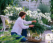 weiße Terrasse: Frau schneidet Blüten von Agapanthus