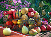 Drahtkorb mit Birnen und Äpfeln