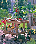 Outdoor kitchen: solid wood kitchen trolley
