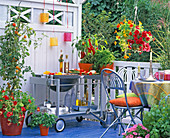 Outdoor - Küche : Edelstahl Grillwagen auf Balkon