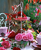 Etagere mit Rosa (Rosen), Parthenocissus (Jungfernrebe) und Kerzen