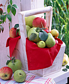 Obststillleben: Pyrus (Birnen) und Malus (Äpfel) in weißem Korb aus Holz