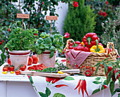 Table with herbs and basket full of peppers