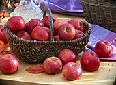 Malus 'Topaz' (apple) in wicker basket