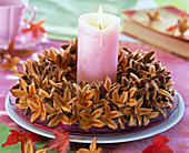 Wreath of beechnut shells