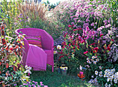 Autumn Perennials pink Seat
